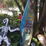 Surf Is Life