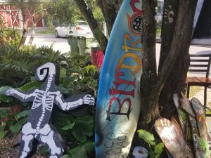 Surf Is Life