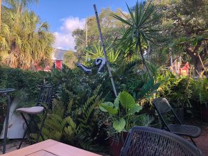 Site of the Last Deadmans Party... Tacos were served