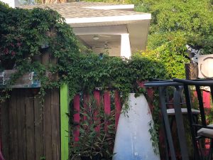 The vines are greener on the taco side